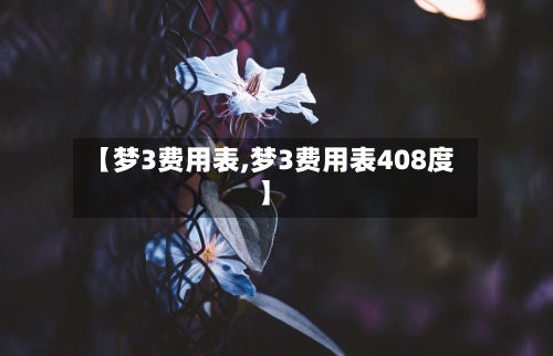【梦3费用表,梦3费用表408度】-第3张图片