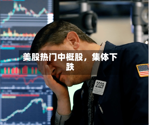 美股热门中概股，集体下跌-第3张图片