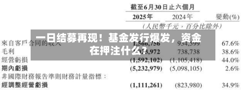 一日结募再现！基金发行爆发	，资金在押注什么？-第2张图片