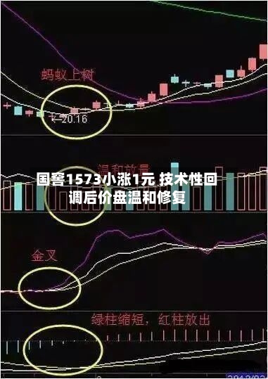 国窖1573小涨1元 技术性回调后价盘温和修复-第3张图片