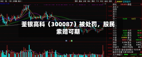 荃银高科（300087）被处罚，股民索赔可期-第2张图片