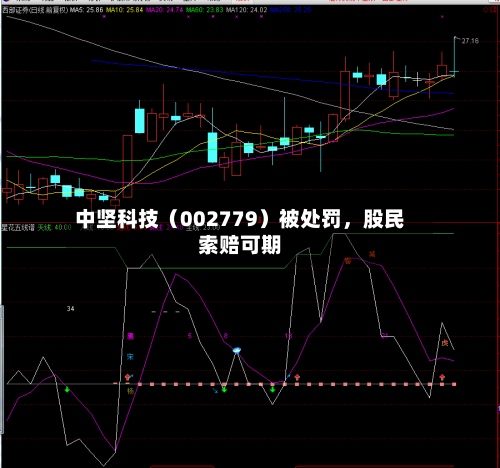 中坚科技（002779）被处罚	，股民索赔可期-第2张图片
