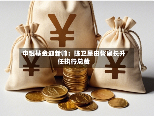 中银基金迎新帅:陈卫星由督察长升任执行总裁-第3张图片