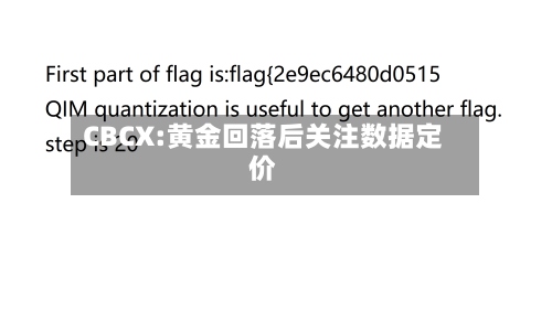 CBCX:黄金回落后关注数据定价-第1张图片