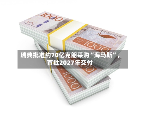 瑞典批准约70亿克朗采购“海马斯	”，首批2027年交付-第3张图片