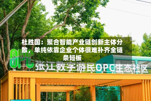 杜胜国：聚合智能产业链创新主体分散，单纯依靠企业个体很难补齐全链条短板-第2张图片