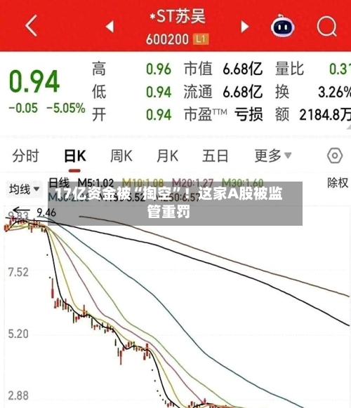 17亿资金被“掏空”！这家A股被监管重罚