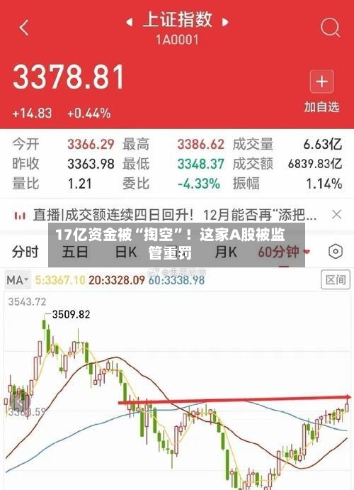 17亿资金被“掏空	”！这家A股被监管重罚-第2张图片