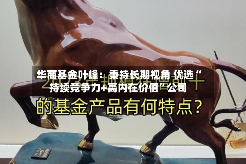 华商基金叶峰：秉持长期视角 优选“持续竞争力+高内在价值”公司-第2张图片