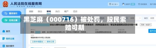 黑芝麻（000716）被处罚	，股民索赔可期-第2张图片