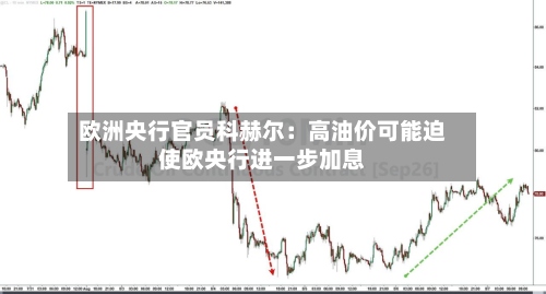 欧洲央行官员科赫尔:高油价可能迫使欧央行进一步加息-第2张图片