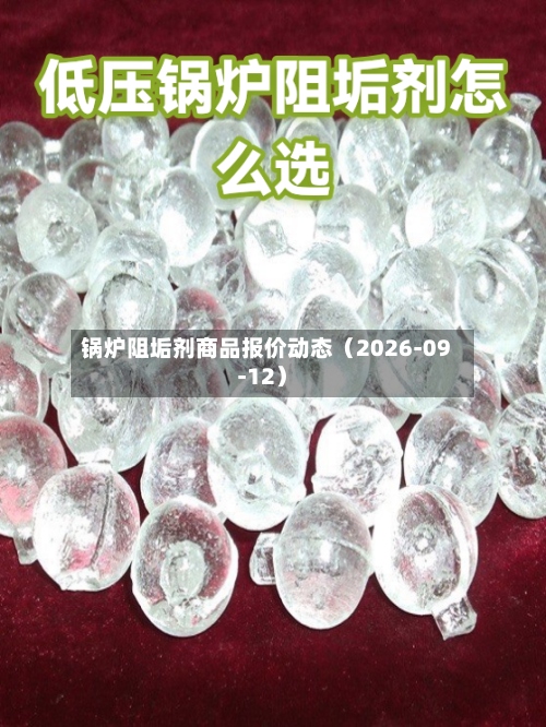 锅炉阻垢剂商品报价动态(2026-09-12)-第3张图片