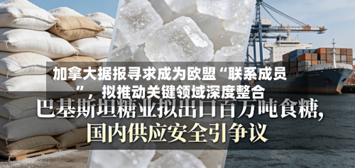 加拿大据报寻求成为欧盟“联系成员	”	，拟推动关键领域深度整合-第2张图片