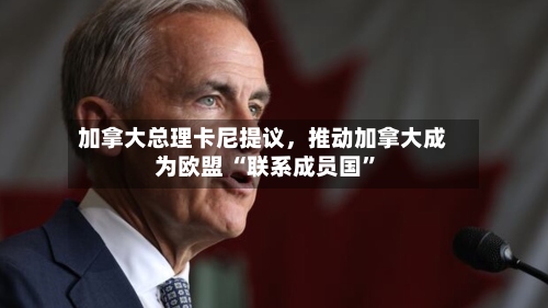 加拿大总理卡尼提议，推动加拿大成为欧盟 “联系成员国”-第2张图片
