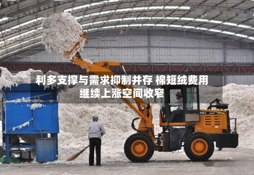利多支撑与需求抑制并存 棉短绒费用
继续上涨空间收窄-第1张图片