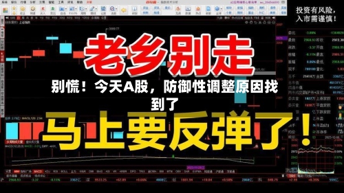 别慌！今天A股，防御性调整原因找到了-第2张图片