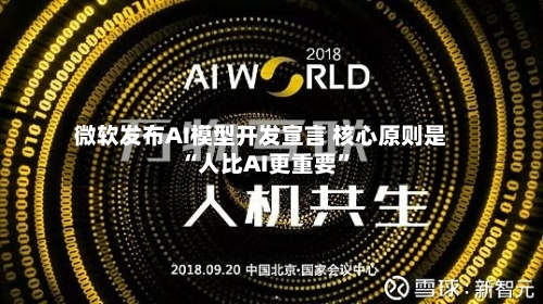 微软发布AI模型开发宣言 核心原则是“人比AI更重要	”-第3张图片