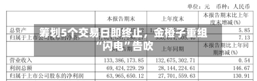 筹划5个交易日即终止，金橙子重组“闪电”告吹-第2张图片