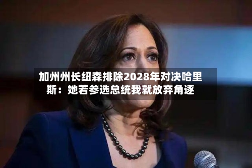 加州州长纽森排除2028年对决哈里斯:她若参选总统我就放弃角逐-第3张图片