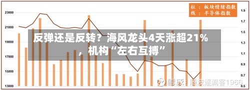 反弹还是反转？海风龙头4天涨超21%	，机构“左右互搏	”-第2张图片