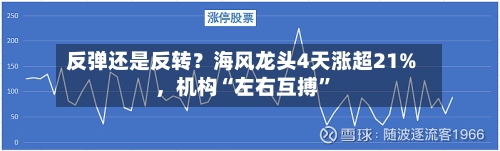 反弹还是反转？海风龙头4天涨超21%，机构“左右互搏”-第3张图片