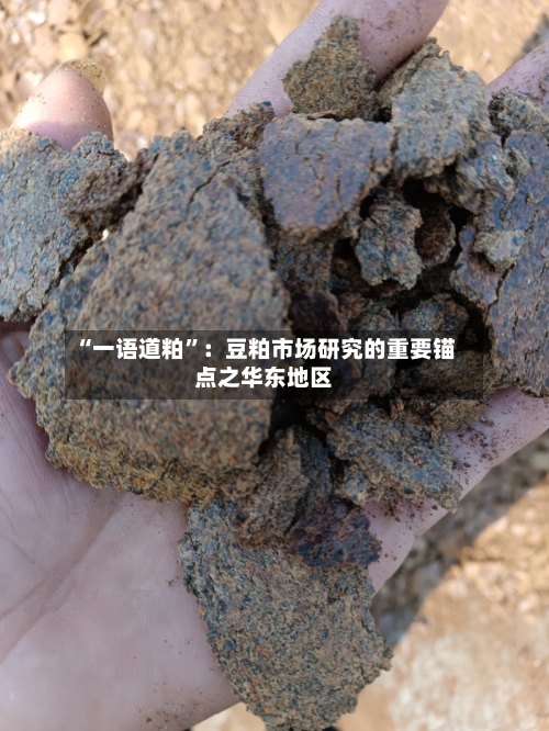 “一语道粕	”：豆粕市场研究的重要锚点之华东地区-第2张图片