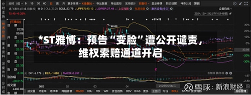 *ST雅博：预告“变脸”遭公开谴责，维权索赔通道开启-第2张图片
