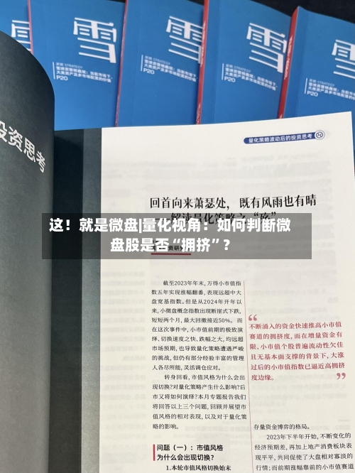 这！就是微盘|量化视角：如何判断微盘股是否“拥挤	”？-第3张图片