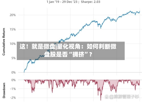 这！就是微盘|量化视角：如何判断微盘股是否“拥挤”？-第2张图片