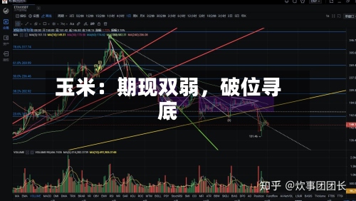 玉米：期现双弱	，破位寻底-第3张图片