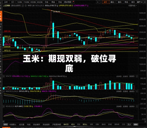 玉米：期现双弱，破位寻底-第2张图片