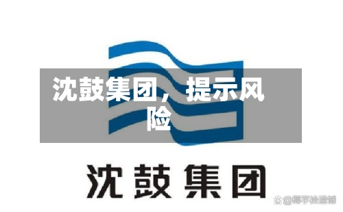 沈鼓集团，提示风险-第2张图片