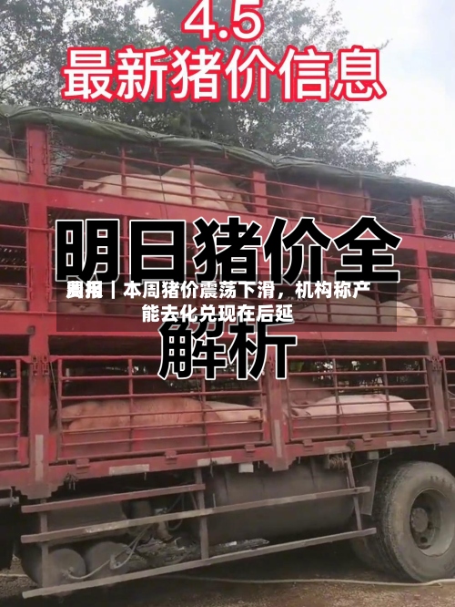 费用周报｜本周猪价震荡下滑，机构称产能去化兑现在后延-第3张图片