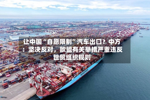 让中国“自愿限制”汽车出口？中方：坚决反对，欧盟有关举措严重违反世贸组织规则-第2张图片