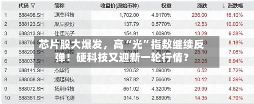 芯片股大爆发，高“光”指数继续反弹！硬科技又迎新一轮行情？-第2张图片