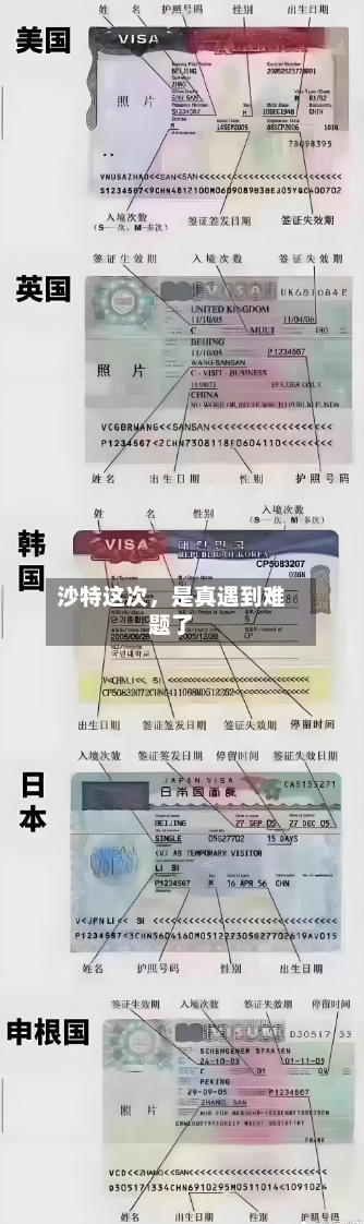 沙特这次，是真遇到难题了-第2张图片