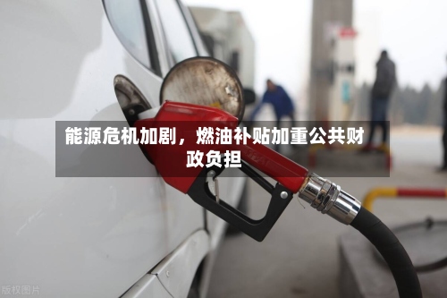 能源危机加剧	，燃油补贴加重公共财政负担-第2张图片