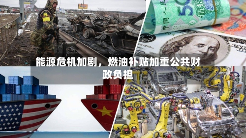 能源危机加剧，燃油补贴加重公共财政负担-第3张图片