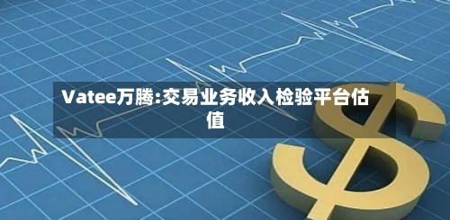 Vatee万腾:交易业务收入检验平台估值-第2张图片