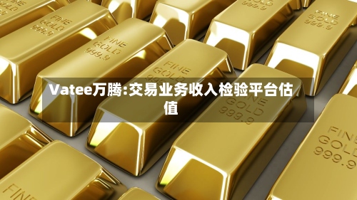 Vatee万腾:交易业务收入检验平台估值-第1张图片
