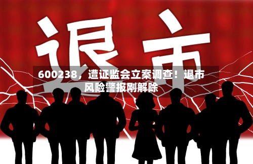600238，遭证监会立案调查！退市风险警报刚解除-第2张图片