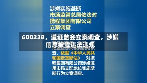 600238，遭证监会立案调查，涉嫌信息披露违法违规-第2张图片