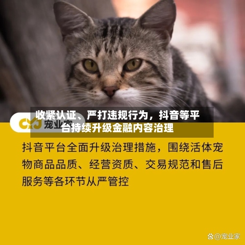 收紧认证	、严打违规行为	，抖音等平台持续升级金融内容治理-第2张图片