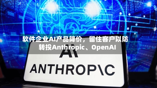 软件企业AI产品降价	，留住客户以防转投Anthropic、OpenAI-第2张图片