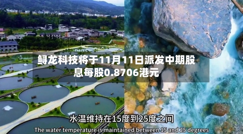 鲟龙科技将于11月11日派发中期股息每股0.8706港元-第2张图片