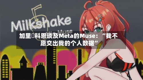 加里・科恩谈及Meta的Muse：“我不愿交出我的个人数据”