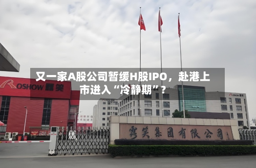 又一家A股公司暂缓H股IPO，赴港上市进入“冷静期”？