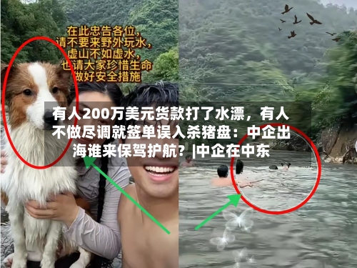 有人200万美元货款打了水漂，有人不做尽调就签单误入杀猪盘：中企出海谁来保驾护航？|中企在中东-第2张图片