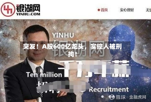 突发！A股600亿龙头，实控人被刑拘！-第2张图片