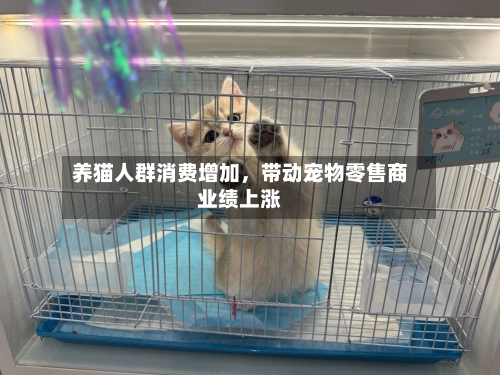 养猫人群消费增加，带动宠物零售商业绩上涨-第2张图片